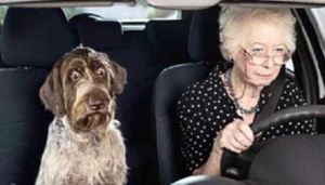 old-lady-driving